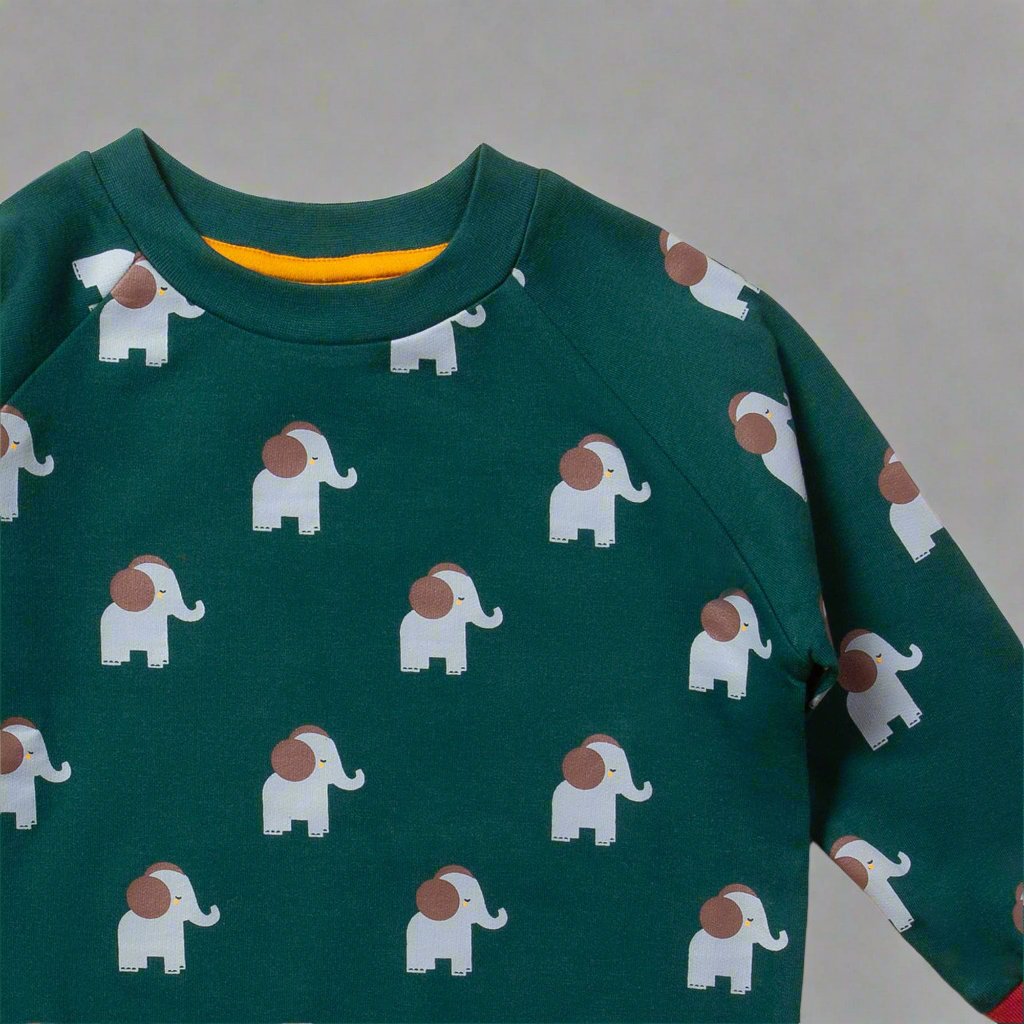 Elephants Never Forget Raglan Sweatshirt - Sweatshirts/Hoodies - Everybody Amsterdam