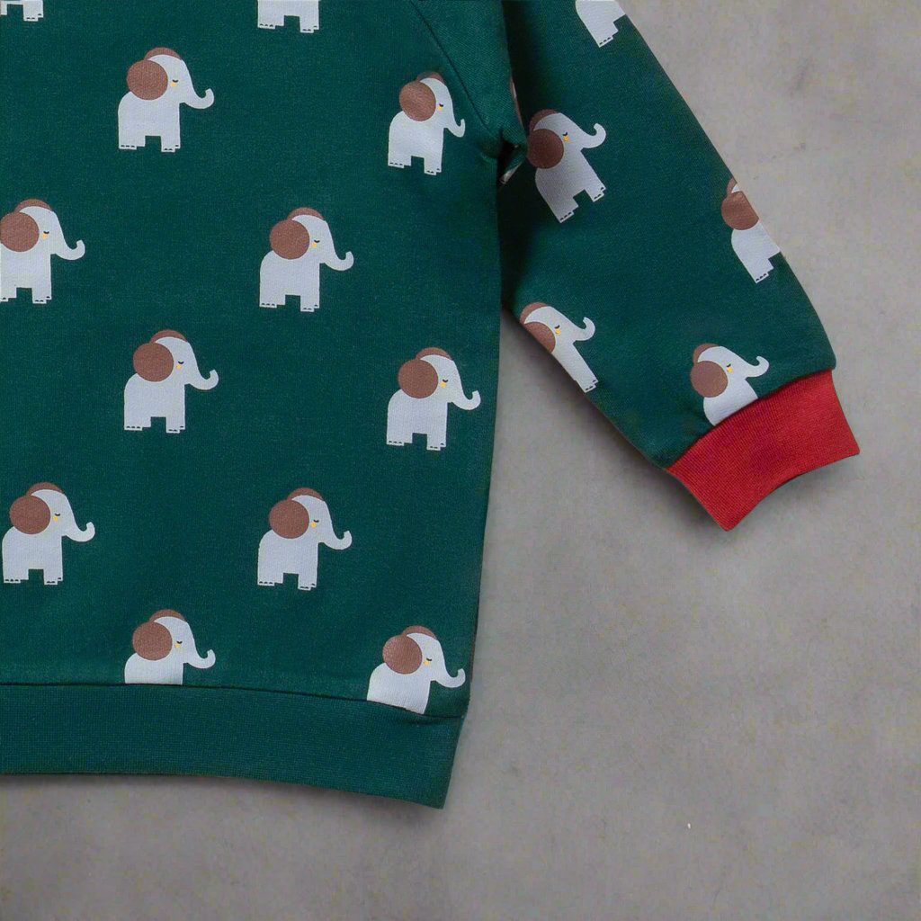 Elephants Never Forget Raglan Sweatshirt - Sweatshirts/Hoodies - Everybody Amsterdam