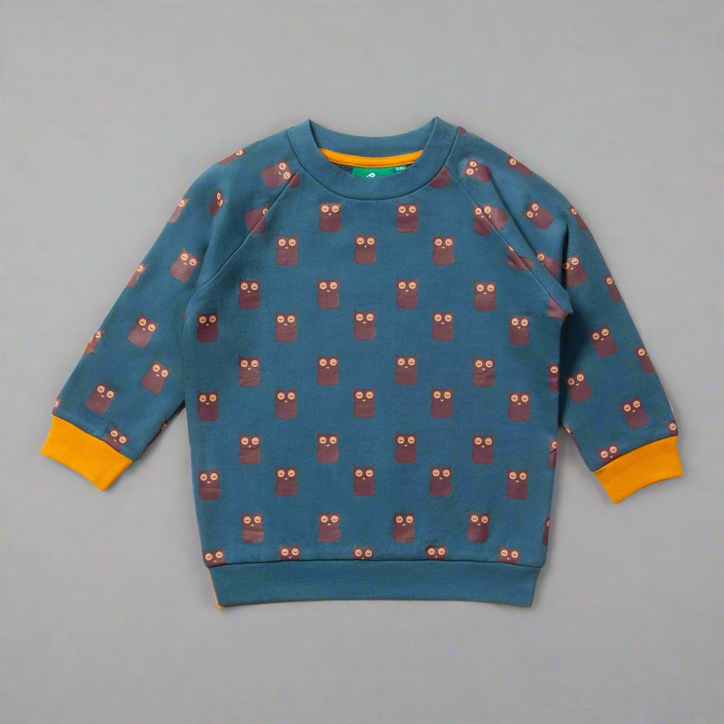 Twit Twoo Owl Raglan Sweatshirt  - Sweatshirts/Hoodies  - Everybody Amsterdam