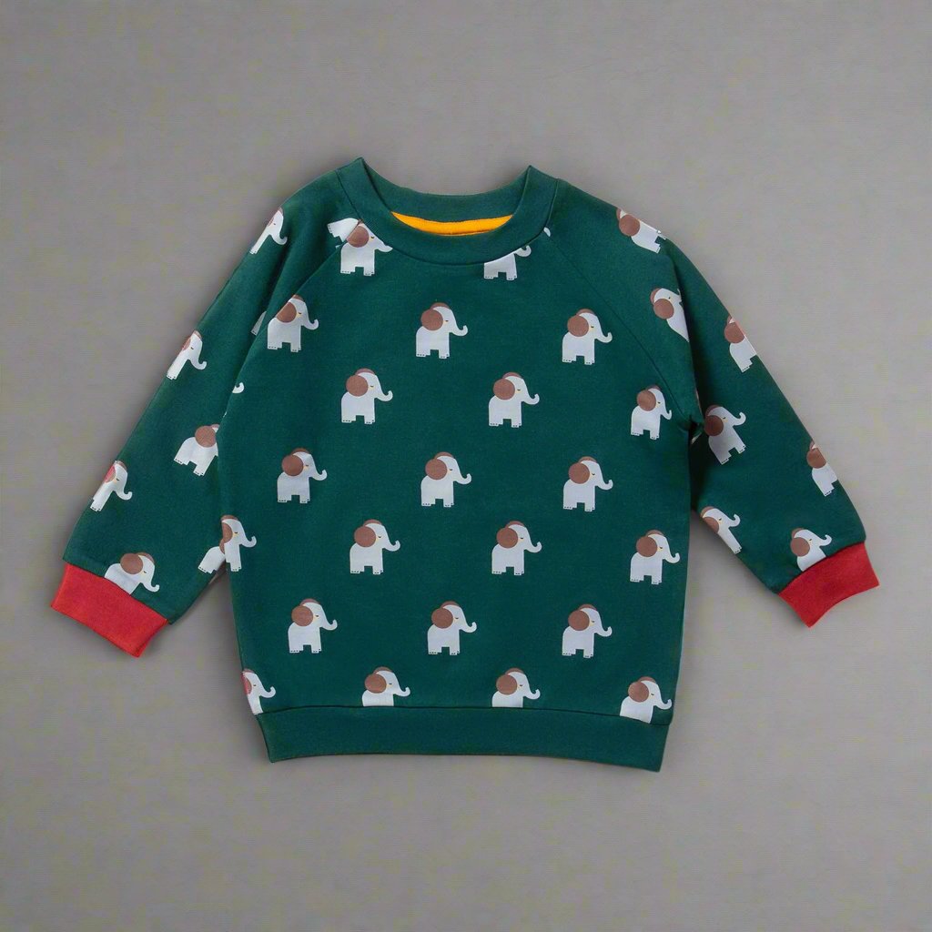 Elephants Never Forget Raglan Sweatshirt - Sweatshirts/Hoodies - Everybody Amsterdam