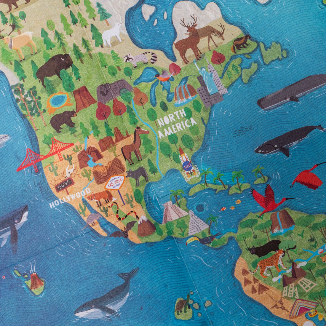 Wonderful World Board Game