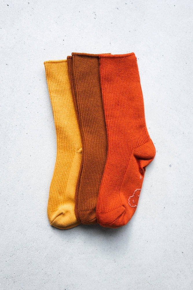 Bear 3pc Socks pack - Everybody Amsterdam